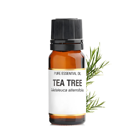 Premium Quality Natural Tea Tree Essential Oil